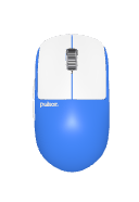 Custom Mice
