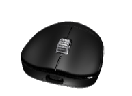 Custom Mice