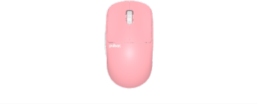 Custom Mice