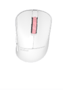 Default Title