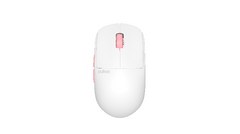Custom Mice