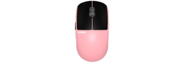Custom Mice
