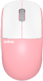 Custom Mice