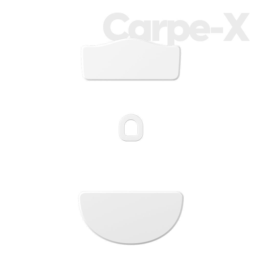 PTFE Skates for CARPE-X