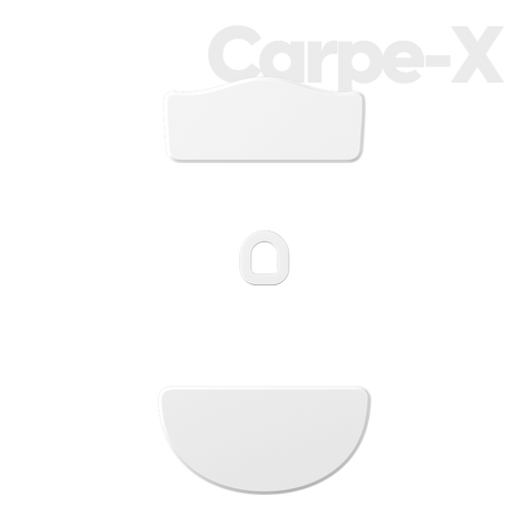 PTFE Skates for CARPE-X