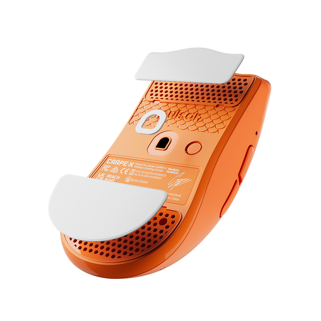 PTFE Skates for CARPE-X