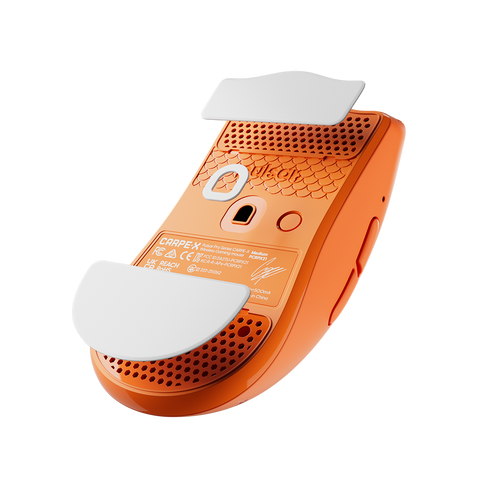 PTFE Skates for CARPE-X