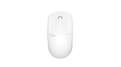 Custom Mice